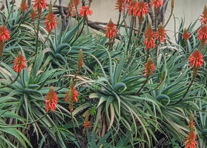 Puerto Banus Stor Lyxig Duplex Med Garageplats Appartamento Marbella